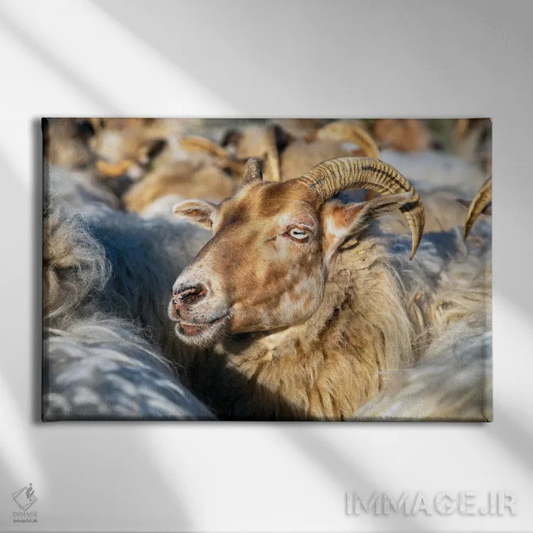 تابلو در میان جمعیت اثر کلارا باستین - نمای روبهرو روی دیوار