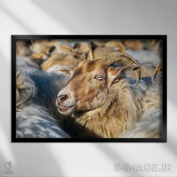 تابلو در میان جمعیت اثر کلارا باستین - نمای قابدار مشکی