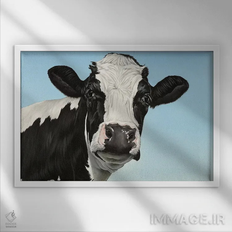 تابلو گاو اثر کلارا باستین - نمای قابدار سفید