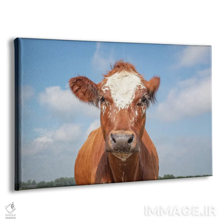 تابلو شیرین اثر کلارا باستین - نمای پرسپکتیو محصول