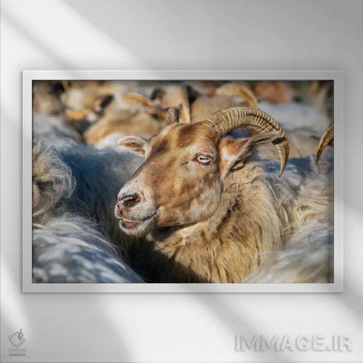 تابلو در میان جمعیت اثر کلارا باستین - نمای قابدار سفید