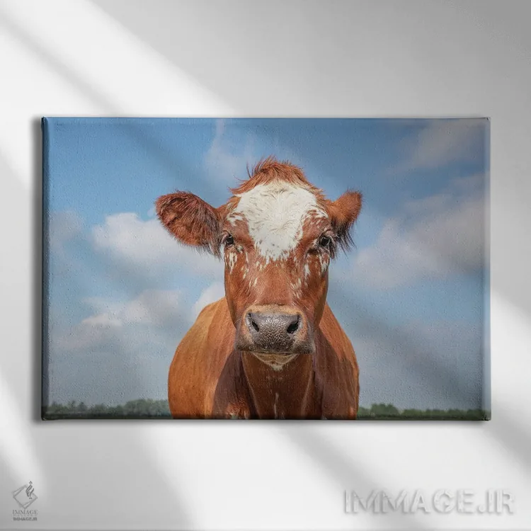 تابلو شیرین اثر کلارا باستین - نمای روبهرو روی دیوار