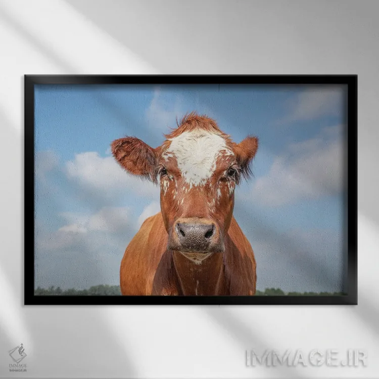 تابلو شیرین اثر کلارا باستین - نمای قابدار مشکی