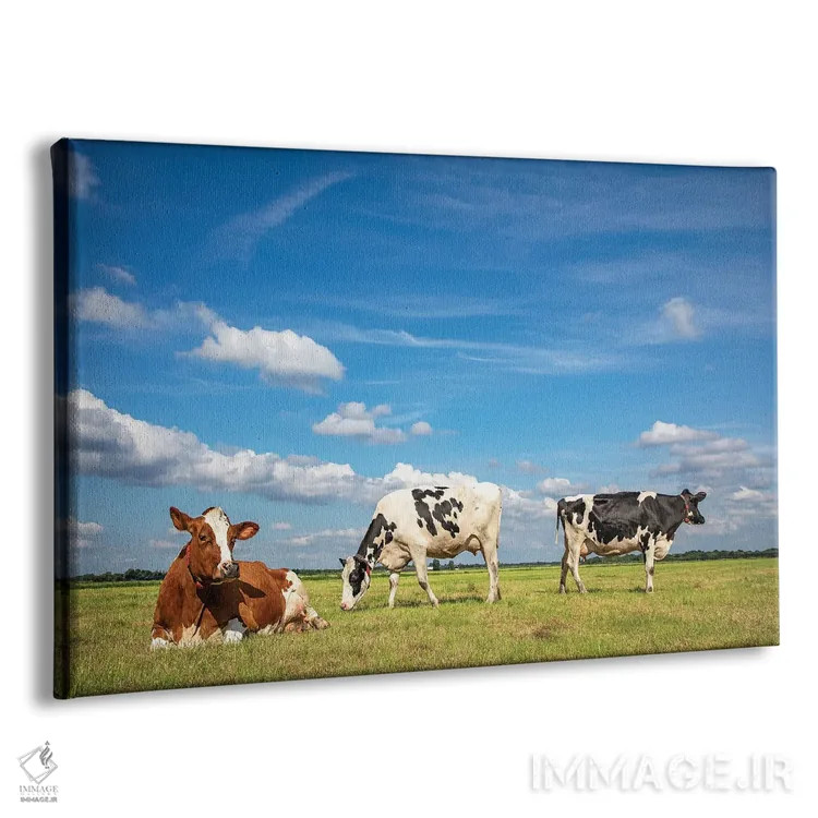 تابلو مرتفع مرتعی اثر کلارا باستین - نمای پرسپکتیو محصول