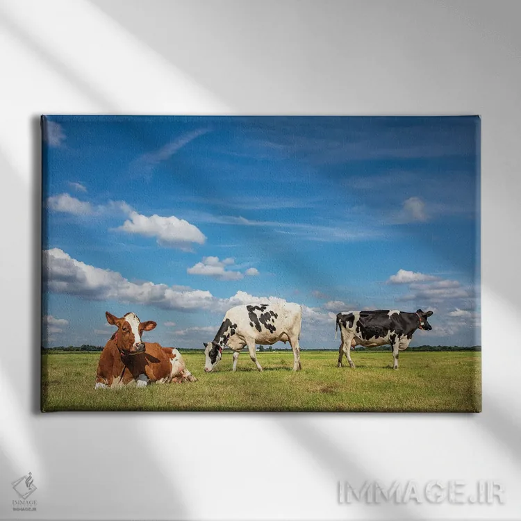 تابلو مرتفع مرتعی اثر کلارا باستین - نمای روبهرو روی دیوار