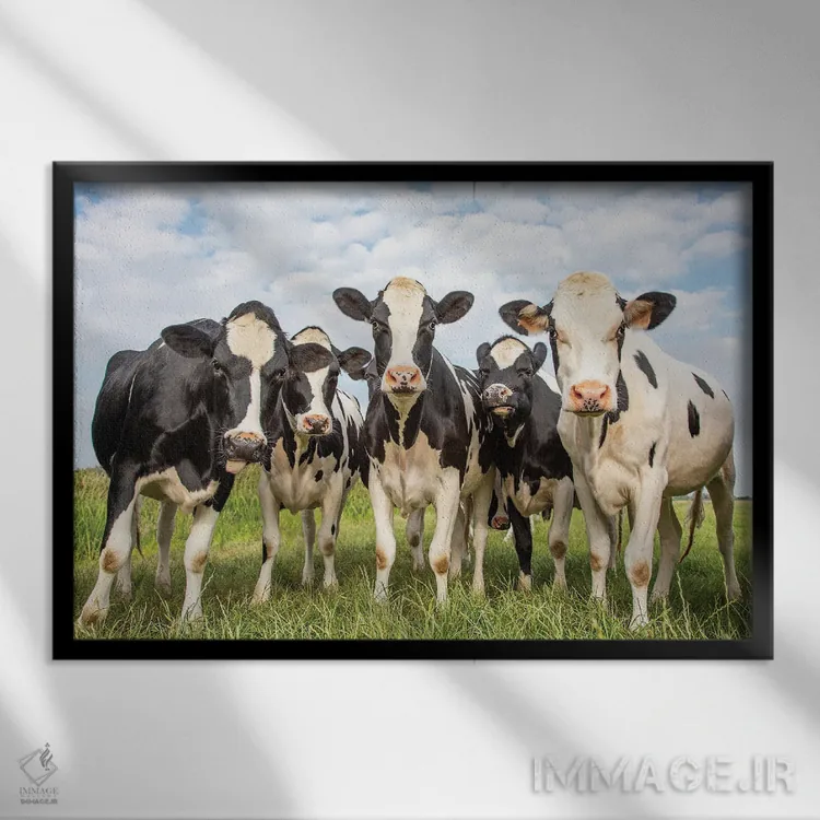 تابلو دوستان صمیمی (زنانه) اثر کلارا باستین - نمای قابدار مشکی