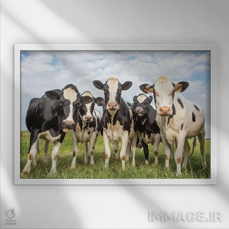 تابلو دوستان صمیمی (زنانه) اثر کلارا باستین - نمای قابدار سفید