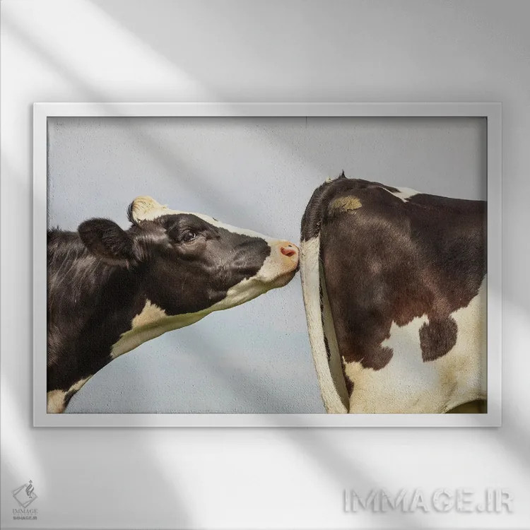 تابلو هوا اثر کلارا باستین - نمای قابدار سفید