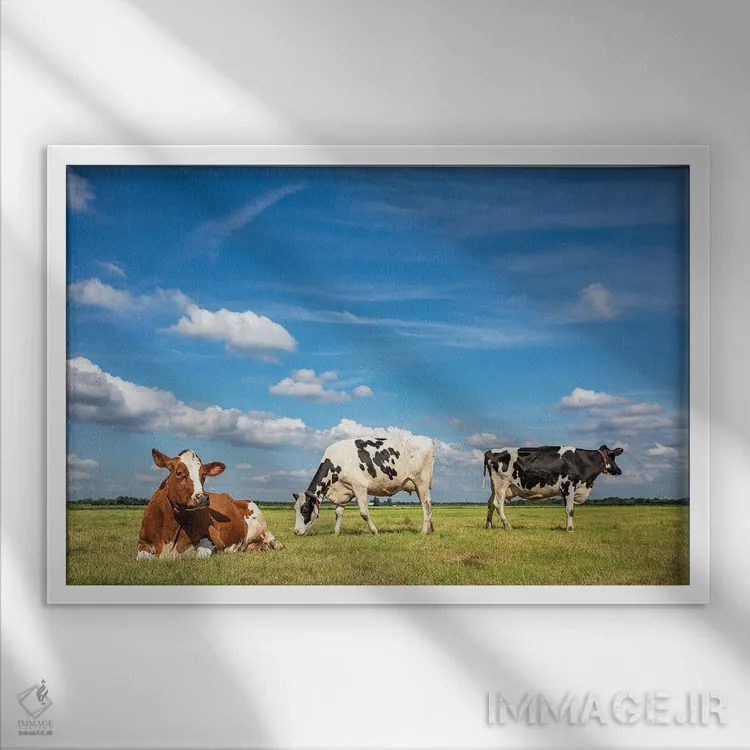 تابلو مرتفع مرتعی اثر کلارا باستین - نمای قابدار سفید