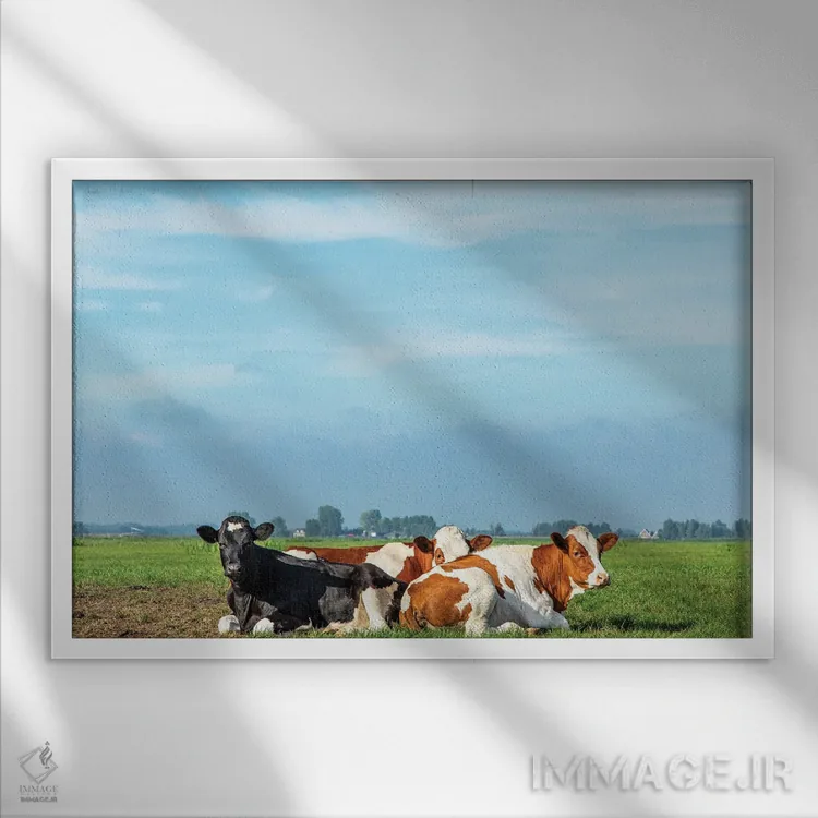 تابلو غروب خورشید اثر کلارا باستین - نمای قابدار سفید