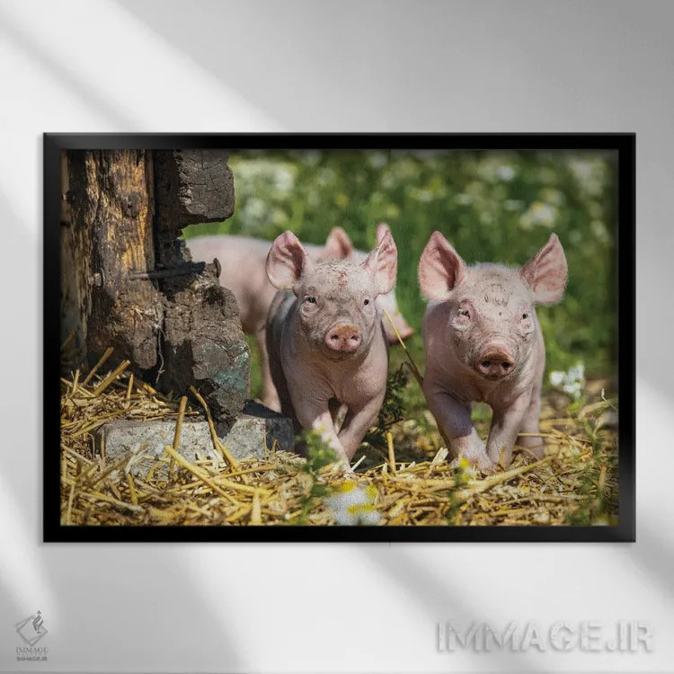 تابلو بهترین دوستان تا ابد اثر کلارا باستین - نمای قابدار مشکی