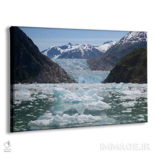 تابلو یخچال طبیعی ساوت ساویر و خلیجی پر از تکههای یخ، منطقهٔ بکر تریسی آرم-فوردز ترور، جنگل ملی تانگاس، آلاسکا اثر ماتیاس برایتر - نمای پرسپکتیو محصول