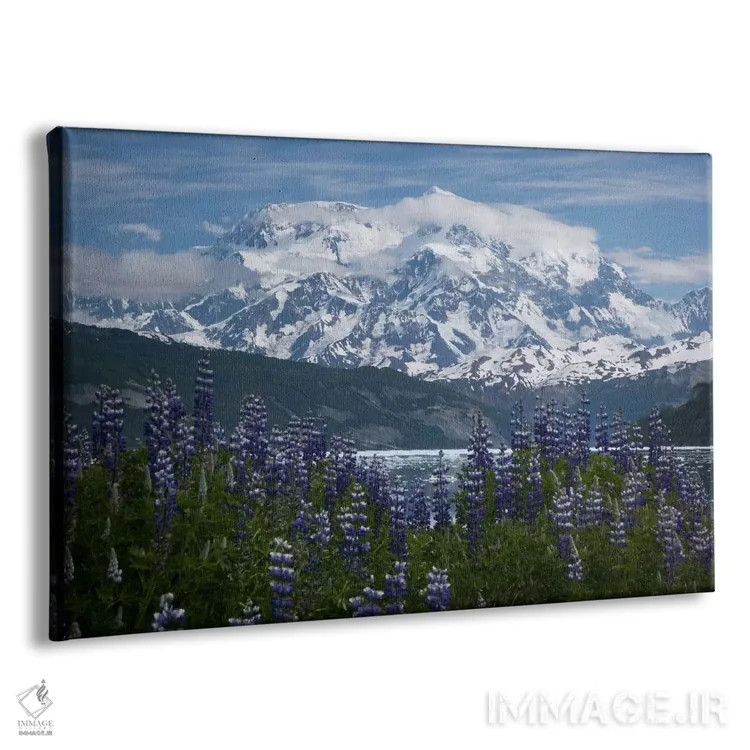تابلو گلهای لوپین و کوه سنت الیاس در بالای خلیج تآن فیورد، آیس بی، پارک ملی رنگل-سنت الیاس، آلاسکا II اثر ماتیاس برایتر - نمای پرسپکتیو محصول