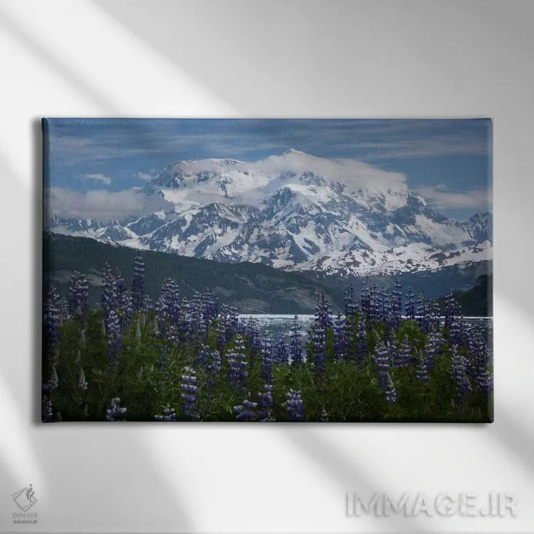 تابلو گلهای لوپین و کوه سنت الیاس در بالای خلیج تآن فیورد، آیس بی، پارک ملی رنگل-سنت الیاس، آلاسکا II اثر ماتیاس برایتر - نمای روبهرو روی دیوار