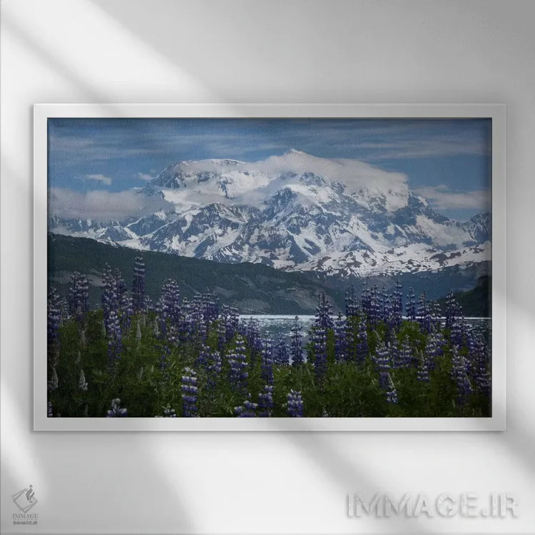 تابلو گلهای لوپین و کوه سنت الیاس در بالای خلیج تآن فیورد، آیس بی، پارک ملی رنگل-سنت الیاس، آلاسکا II اثر ماتیاس برایتر - نمای قابدار سفید
