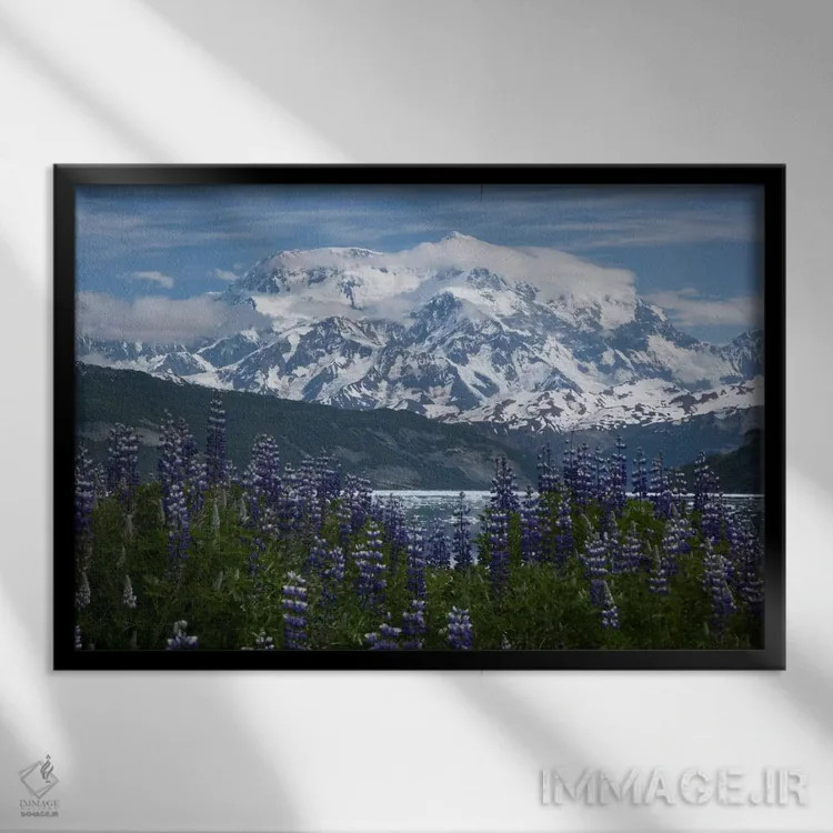 تابلو گلهای لوپین و کوه سنت الیاس در بالای خلیج تآن فیورد، آیس بی، پارک ملی رنگل-سنت الیاس، آلاسکا II اثر ماتیاس برایتر - نمای قابدار مشکی