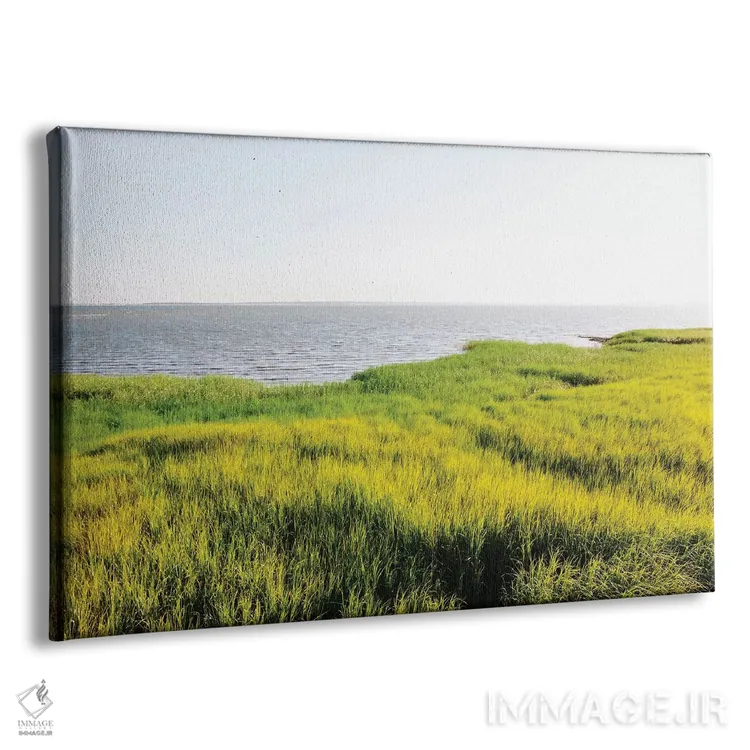 تابلو پل پیت استریت چارلستون V اثر بثانی یانگ - نمای پرسپکتیو محصول