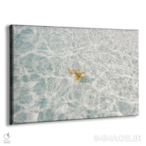 تابلو شن سفید فلوریدا اثر بثانی یانگ - نمای پرسپکتیو محصول