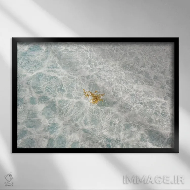 تابلو شن سفید فلوریدا اثر بثانی یانگ - نمای قابدار مشکی