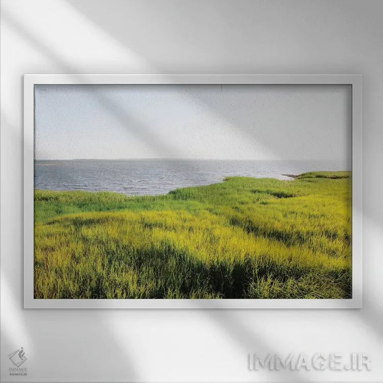 تابلو پل پیت استریت چارلستون V اثر بثانی یانگ - نمای قابدار سفید