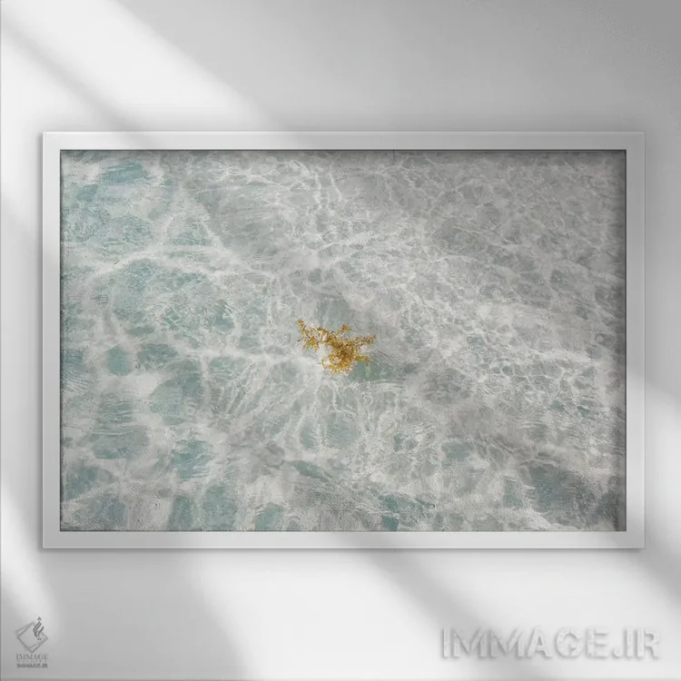 تابلو شن سفید فلوریدا اثر بثانی یانگ - نمای قابدار سفید