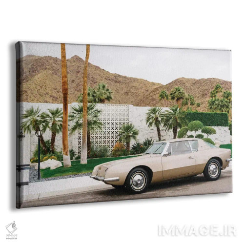 تابلو سواری پالم اسپرینگز III اثر بثانی یانگ - نمای پرسپکتیو محصول