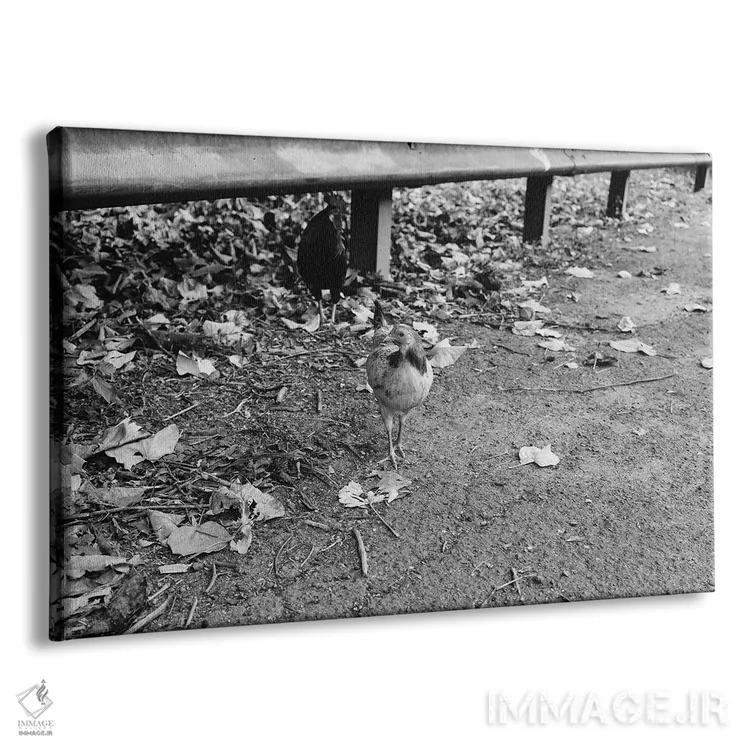تابلو چرا مرغ از خیابان گذشت؟ (ضرب‌المثل/جوک) اثر بثانی یانگ - نمای پرسپکتیو محصول