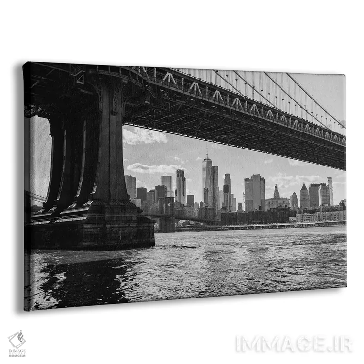 تابلو دامبو بروکلین شش اثر بثانی یانگ - نمای پرسپکتیو محصول