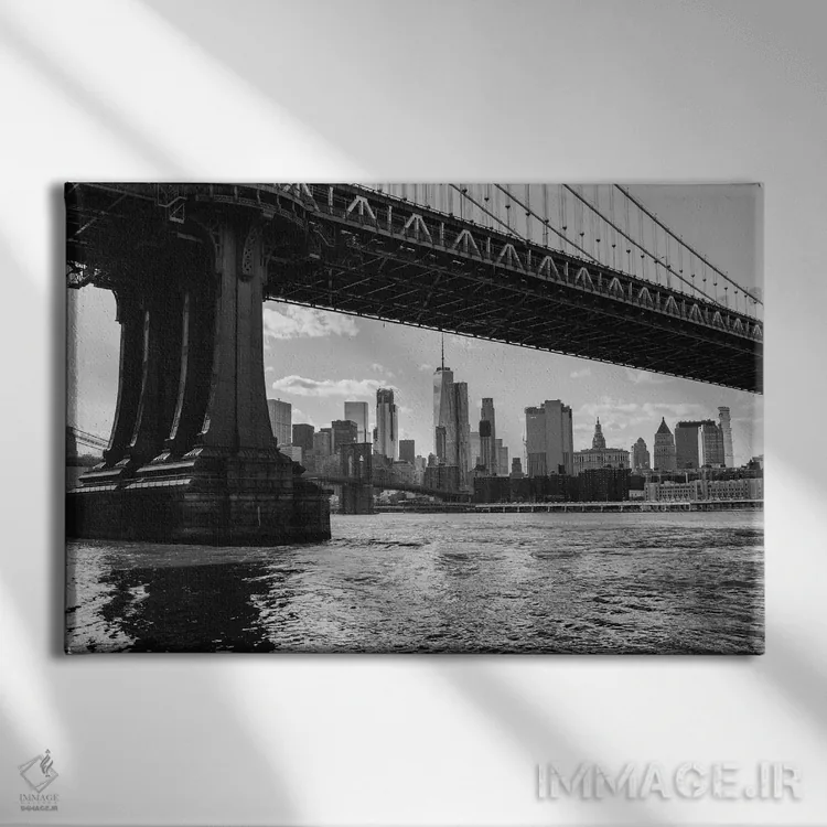 تابلو دامبو بروکلین شش اثر بثانی یانگ - نمای روبهرو روی دیوار