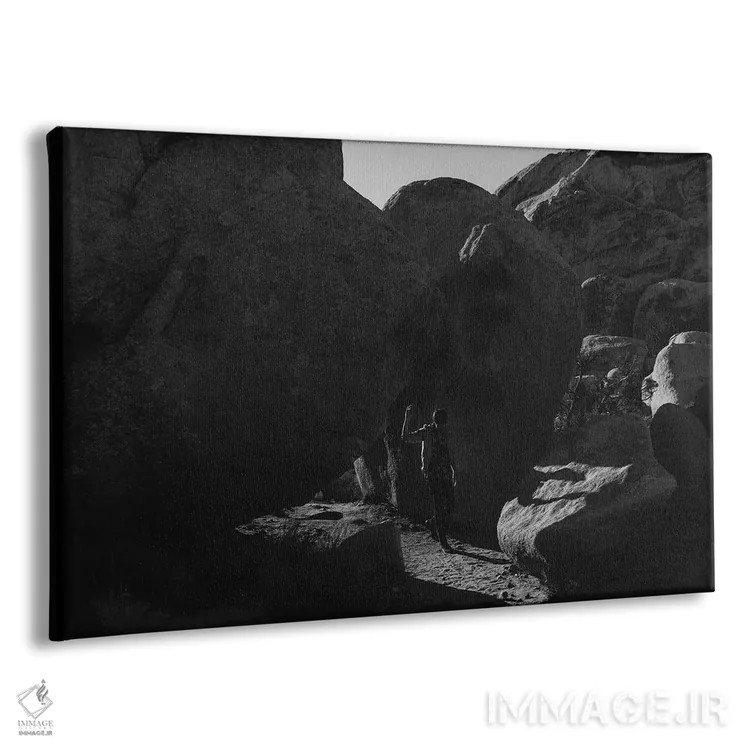 تابلو اکسپلورر درخت جاشوا (کاوشگر) اثر بثانی یانگ - نمای پرسپکتیو محصول