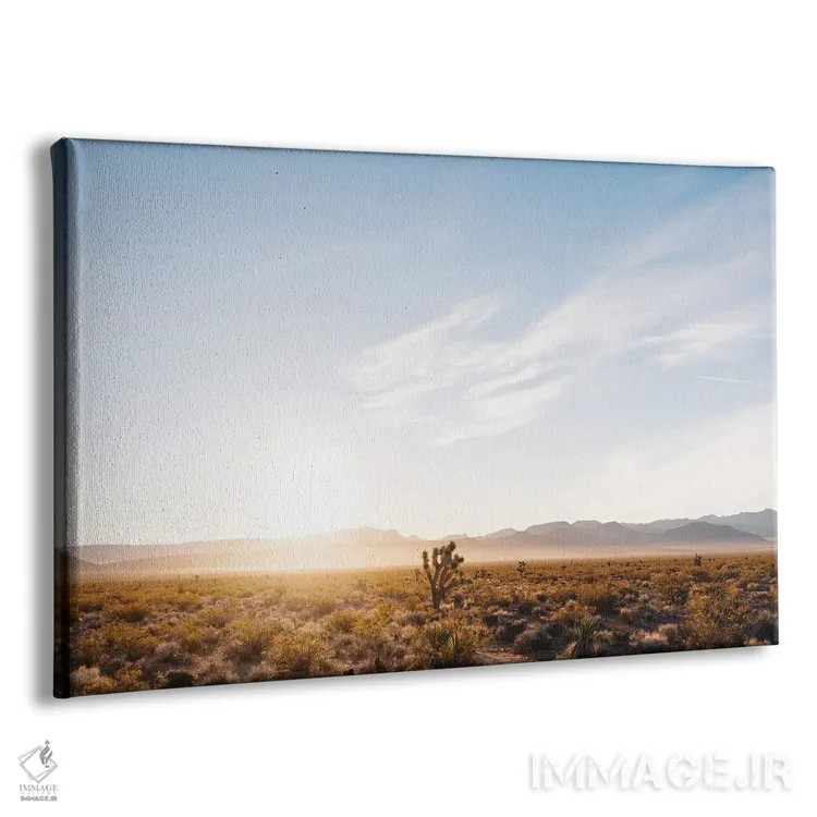 تابلو طلوع بیابان نوادا پنج اثر بثانی یانگ - نمای پرسپکتیو محصول