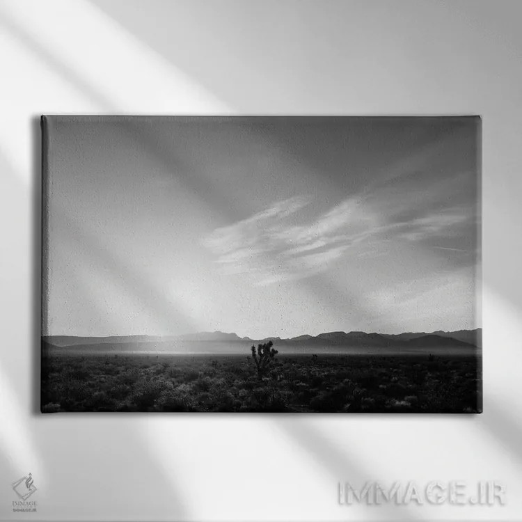 تابلو طلوع بیابان نوادا چهار اثر بثانی یانگ - نمای روبهرو روی دیوار