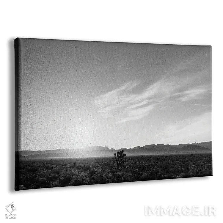 تابلو طلوع بیابان نوادا چهار اثر بثانی یانگ - نمای پرسپکتیو محصول