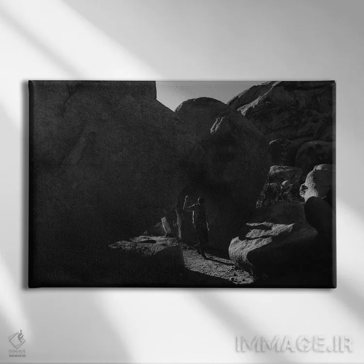 تابلو اکسپلورر درخت جاشوا (کاوشگر) اثر بثانی یانگ - نمای روبهرو روی دیوار