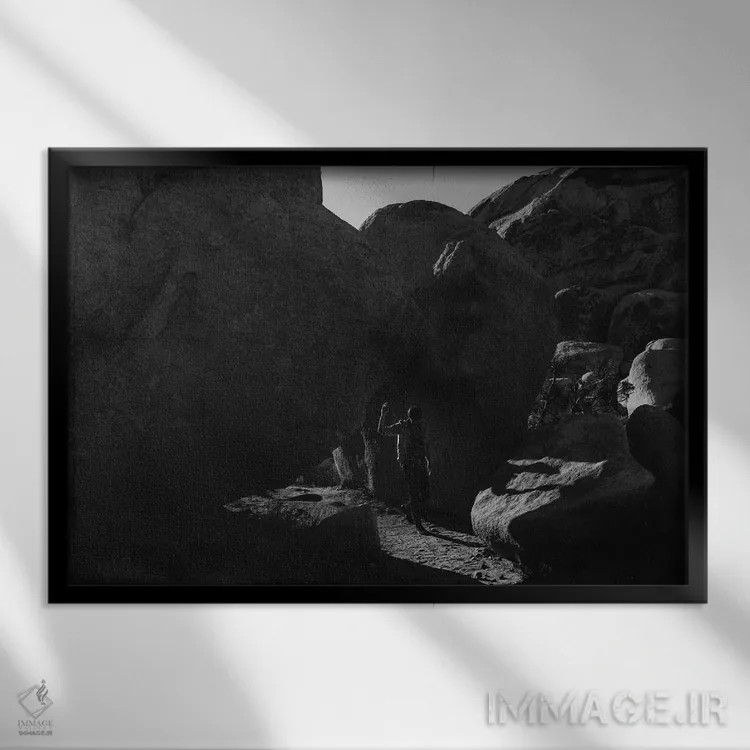 تابلو اکسپلورر درخت جاشوا (کاوشگر) اثر بثانی یانگ - نمای قابدار مشکی