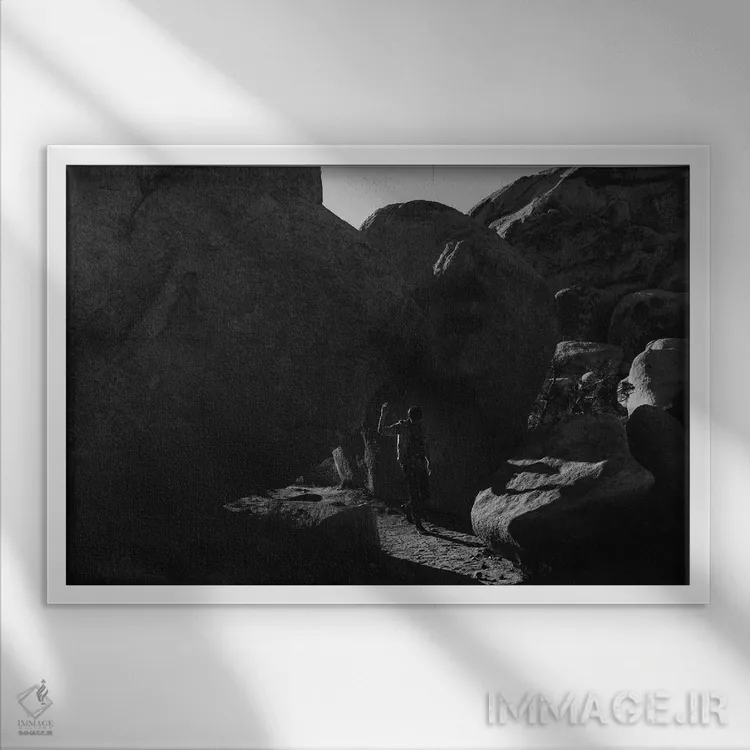 تابلو اکسپلورر درخت جاشوا (کاوشگر) اثر بثانی یانگ - نمای قابدار سفید