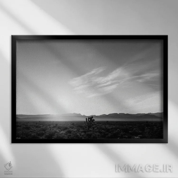 تابلو طلوع بیابان نوادا چهار اثر بثانی یانگ - نمای قابدار مشکی