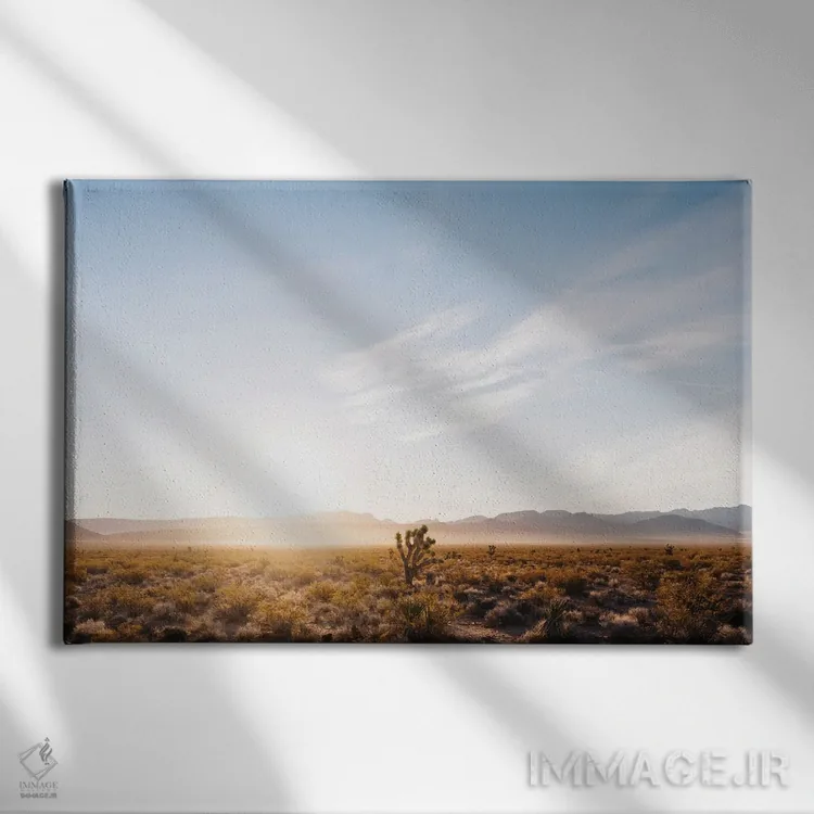 تابلو طلوع بیابان نوادا پنج اثر بثانی یانگ - نمای روبهرو روی دیوار