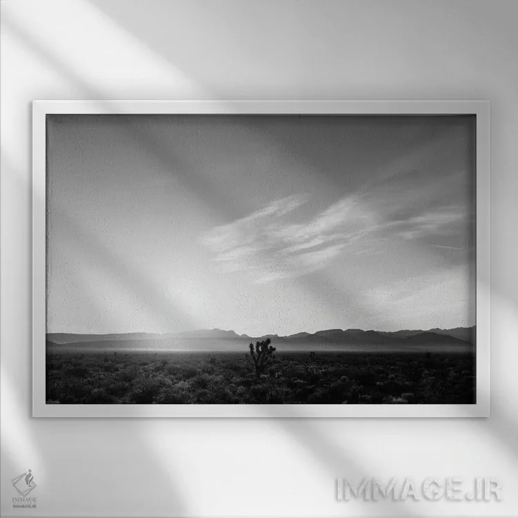 تابلو طلوع بیابان نوادا چهار اثر بثانی یانگ - نمای قابدار سفید