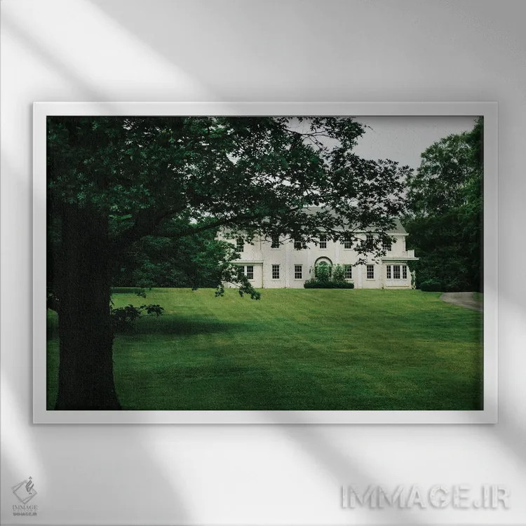 تابلو عمارت نشویل اثر بثانی یانگ - نمای قابدار سفید