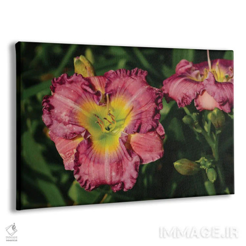 تابلو باغ سوسن روز ۹ اثر بثانی یانگ - نمای پرسپکتیو محصول