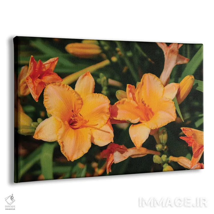 تابلو باغ سوسن روز ۱۱ اثر بثانی یانگ - نمای پرسپکتیو محصول