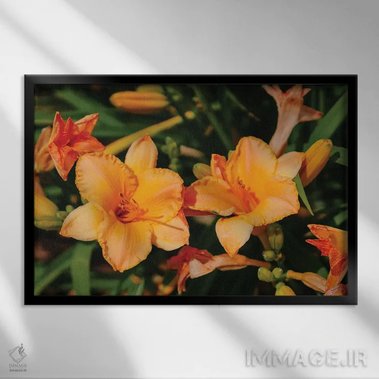 تابلو باغ سوسن روز ۱۱ اثر بثانی یانگ - نمای قابدار مشکی