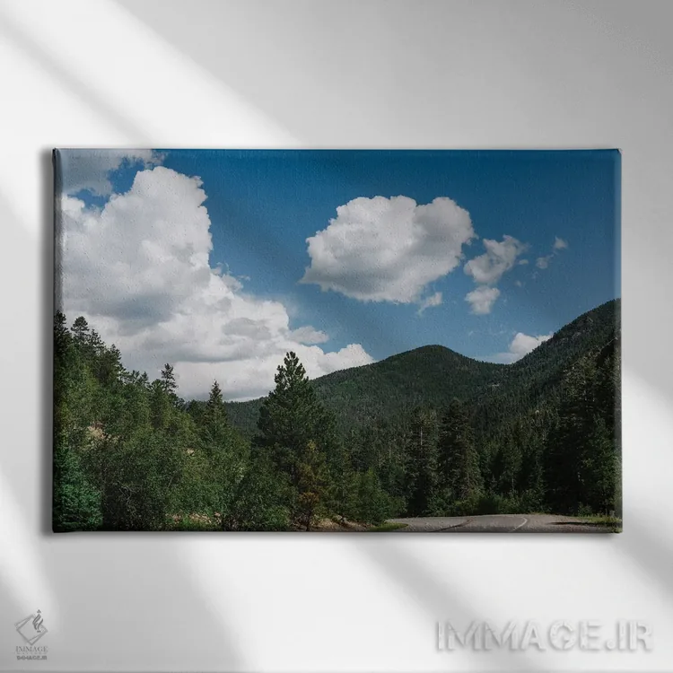 تابلو جادهٔ دیدنی دایره افسونشده اثر بثانی یانگ - نمای روبهرو روی دیوار