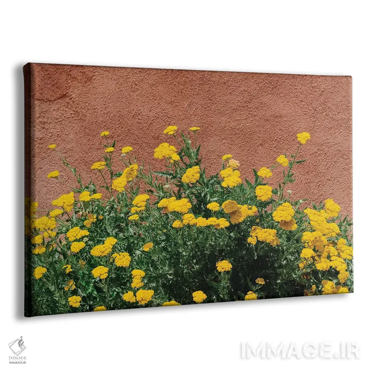 تابلو شکوفههای نیومکزیکو اثر بثانی یانگ - نمای پرسپکتیو محصول