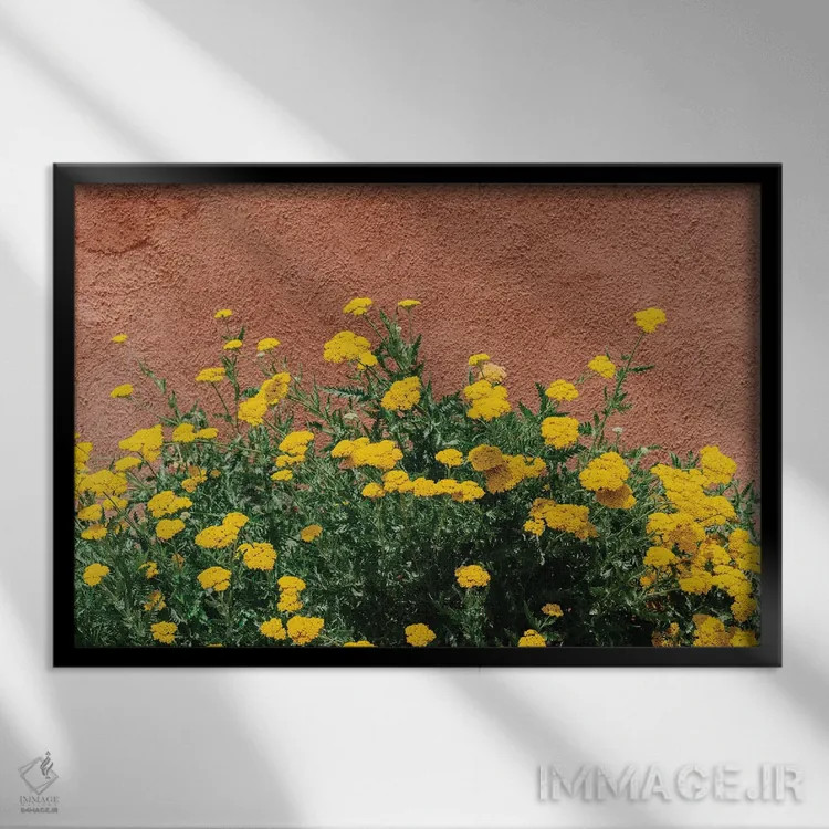 تابلو شکوفههای نیومکزیکو اثر بثانی یانگ - نمای قابدار مشکی