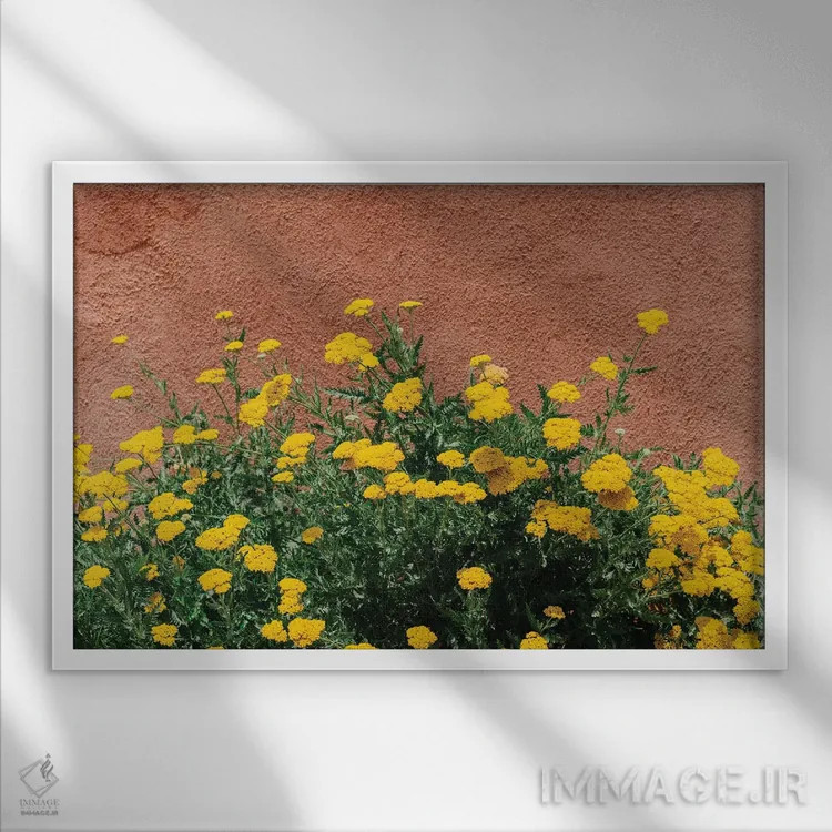 تابلو شکوفههای نیومکزیکو اثر بثانی یانگ - نمای قابدار سفید