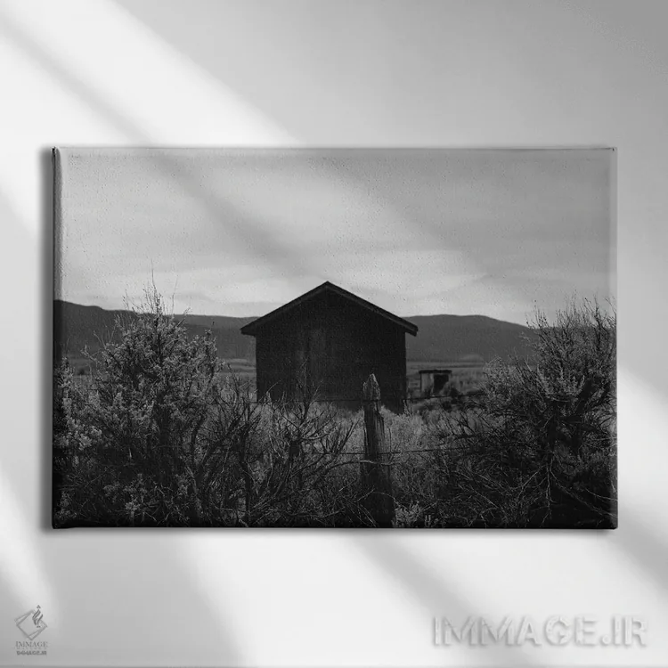 تابلو کوههای تائوس ۵ اثر بثانی یانگ - نمای روبهرو روی دیوار