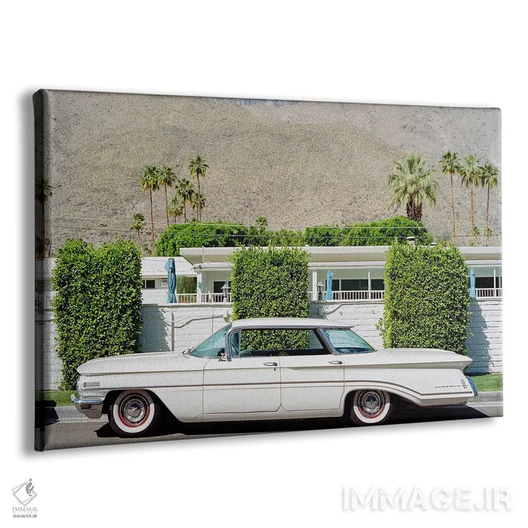 تابلو سواری پالم اسپرینگز ۲۰ اثر بثانی یانگ - نمای پرسپکتیو محصول