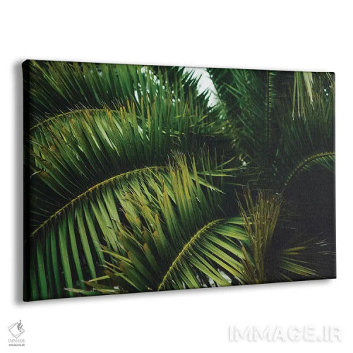 تابلو درخت نخل سانفرانسیسکو اثر بثانی یانگ - نمای پرسپکتیو محصول